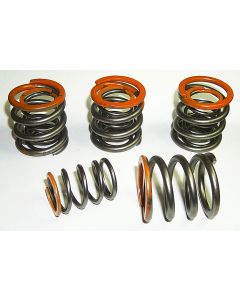 VALVE SPRING Set for 1955 - 1984 Pan & Shovel FLH Motors