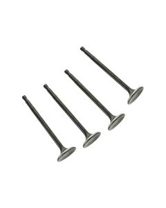 "BLACK NITRATED" 45 VALVE SET for 1932- 1973 Motors